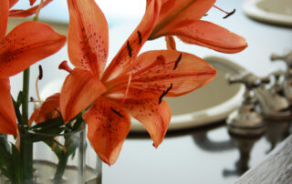 D40IMG_4800